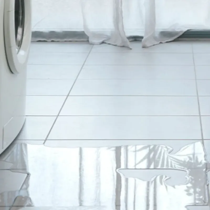 Appliance Leak Cleanup in Charlotte County, FL